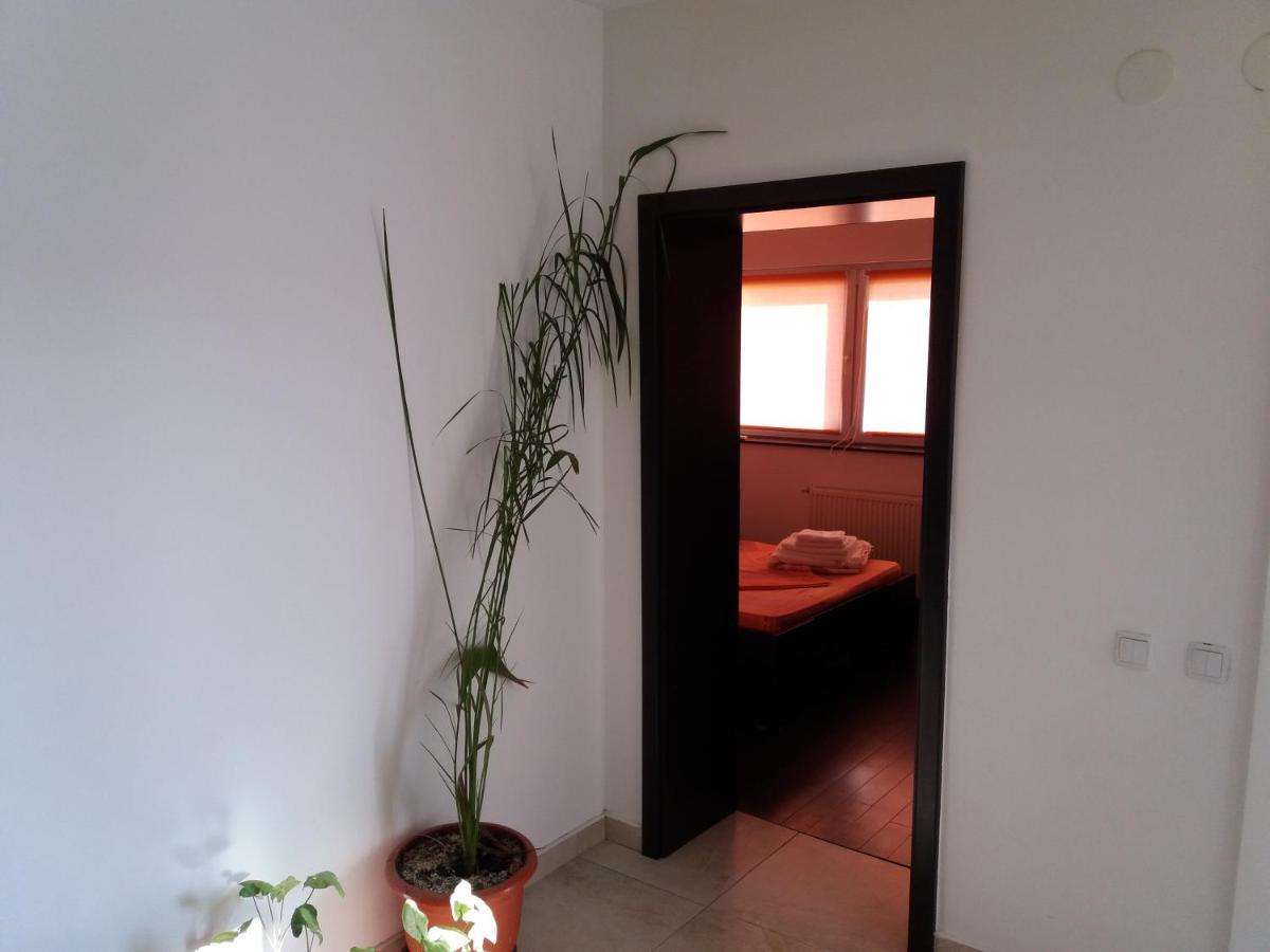 Apartament Kamino Năvodari Esterno foto
